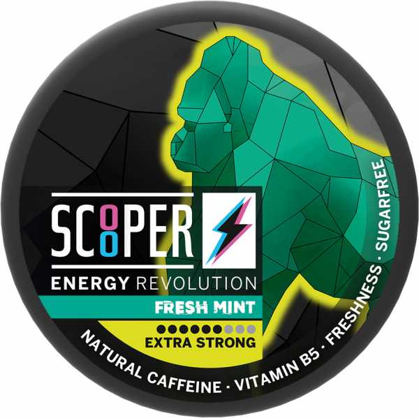 Nikotinfreier Koffein Snus Energy Fresh Mint 1x Dose