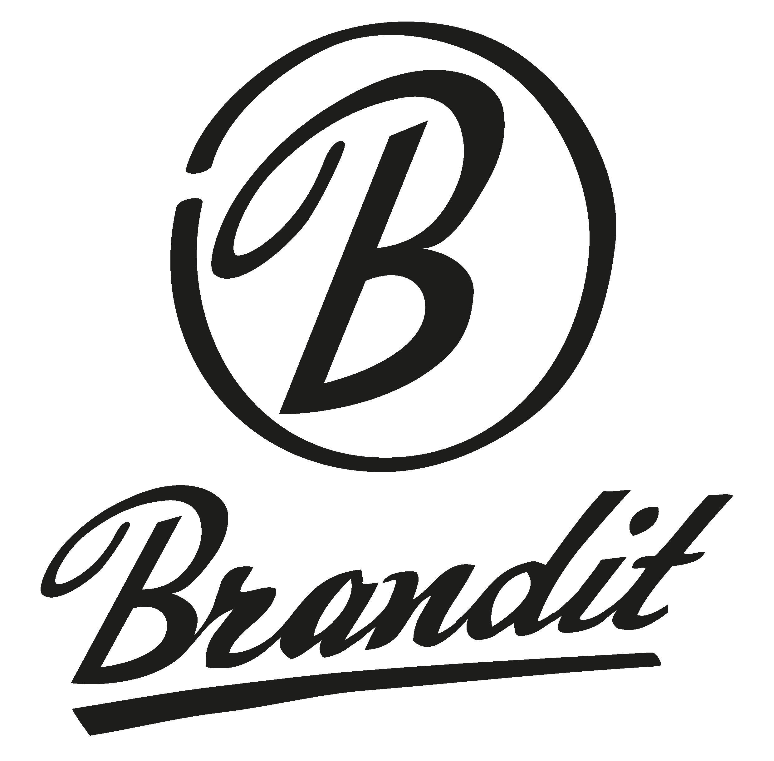 Brandit-Thermal Outdoor Cargo Pant resistente all'acqua 